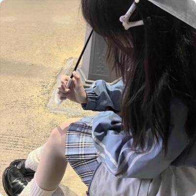 狮子护卫队第一季
